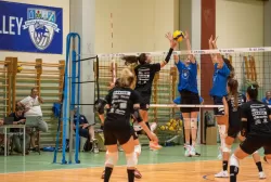 dsc_8211.webp