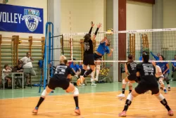 dsc_8213.webp