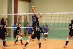 dsc_8217.webp