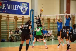 dsc_8225.webp