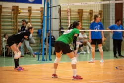 dsc_8226.webp