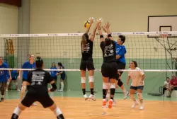 dsc_8237.webp