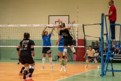 dsc_8248.webp
