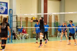 dsc_8254.webp