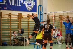 dsc_8264.webp
