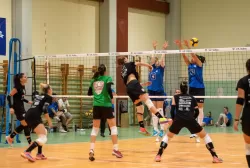 dsc_8273.webp