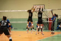 dsc_8312.webp