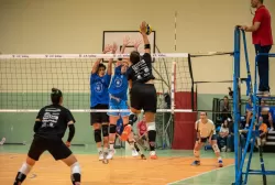 dsc_8314.webp