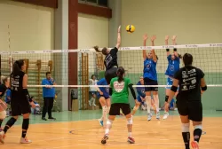 dsc_8316.webp