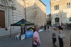 383423756_803052075153771_7094627680730028161_n.webp