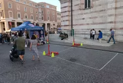 384745848_803052098487102_818026596311070221_n.webp
