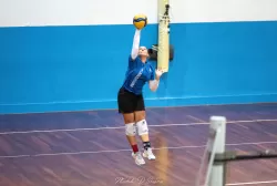 dsc_8485.webp