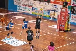 dsc_8523.webp