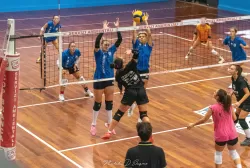 dsc_8558.webp