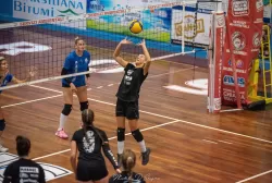 dsc_8607.webp