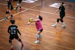 dsc_8699.webp