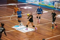 dsc_8707.webp