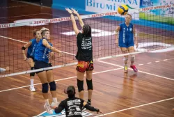 dsc_8811.webp