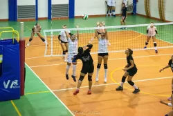 dsc_9601.webp