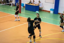 dsc_9613.webp
