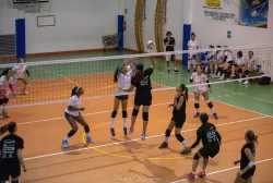 dsc_9636.webp