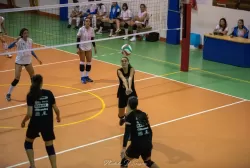 dsc_9645.webp
