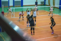 dsc_9646.webp