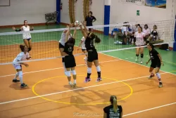 dsc_9707.webp