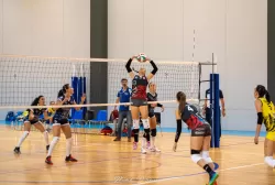 dsc_0245.webp