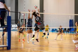 dsc_0277.webp