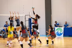 dsc_0291.webp