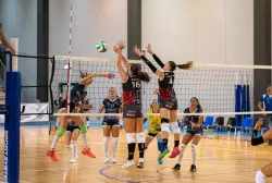 dsc_0293.webp