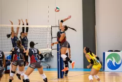 dsc_0296.webp