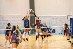dsc_0303.webp