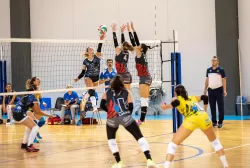 dsc_0311.webp