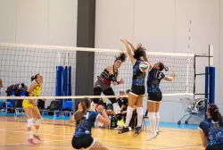 dsc_0337.webp