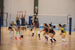 dsc_0381.webp