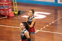 dsc_0533.webp