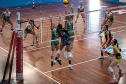dsc_0588.webp