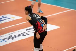 dsc_2023.webp