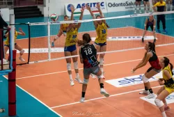 dsc_2120.webp