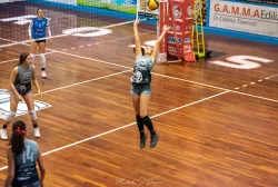 dsc_2387.webp