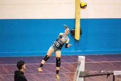 dsc_2448.webp