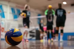 dsc_3437-1.webp