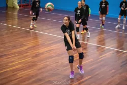 dsc_3551.webp