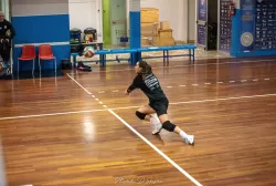 dsc_3553.webp