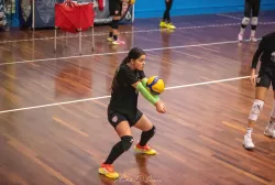 dsc_3631.webp