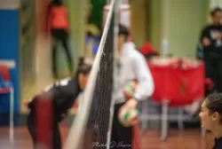dsc_3735.webp