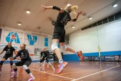 dsc_3881.webp