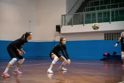 dsc_3895.webp